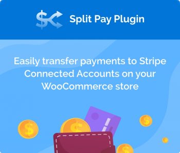 split pay icon final